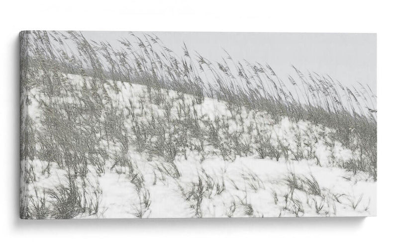 Dunas Exuberantes Ii - Sharon Chandler | Cuadro decorativo de Canvas Lab