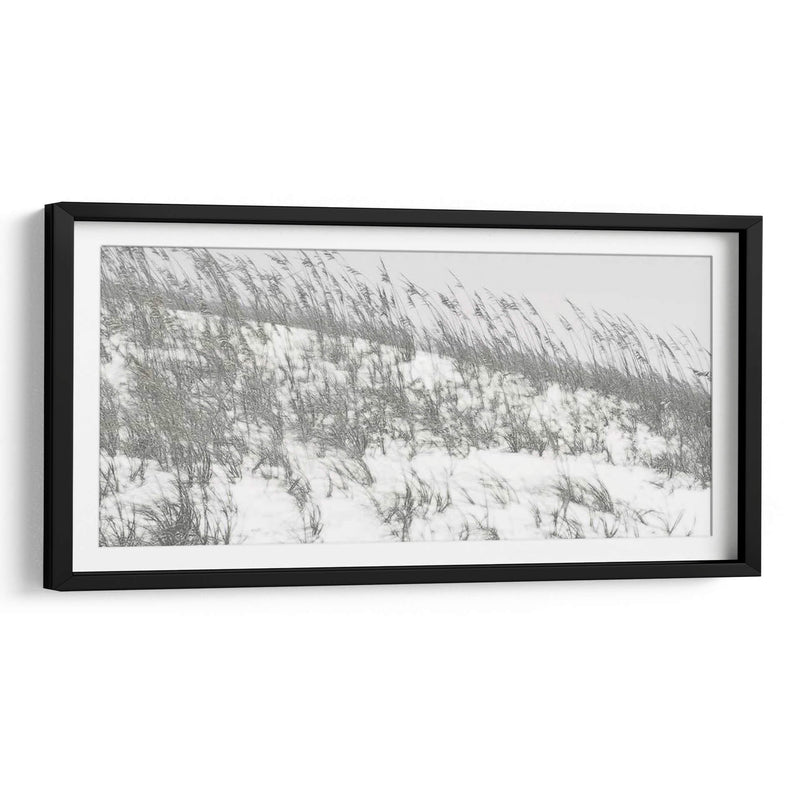 Dunas Exuberantes Ii - Sharon Chandler | Cuadro decorativo de Canvas Lab