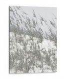 Lush Dunes Iii - Sharon Chandler | Cuadro decorativo de Canvas Lab