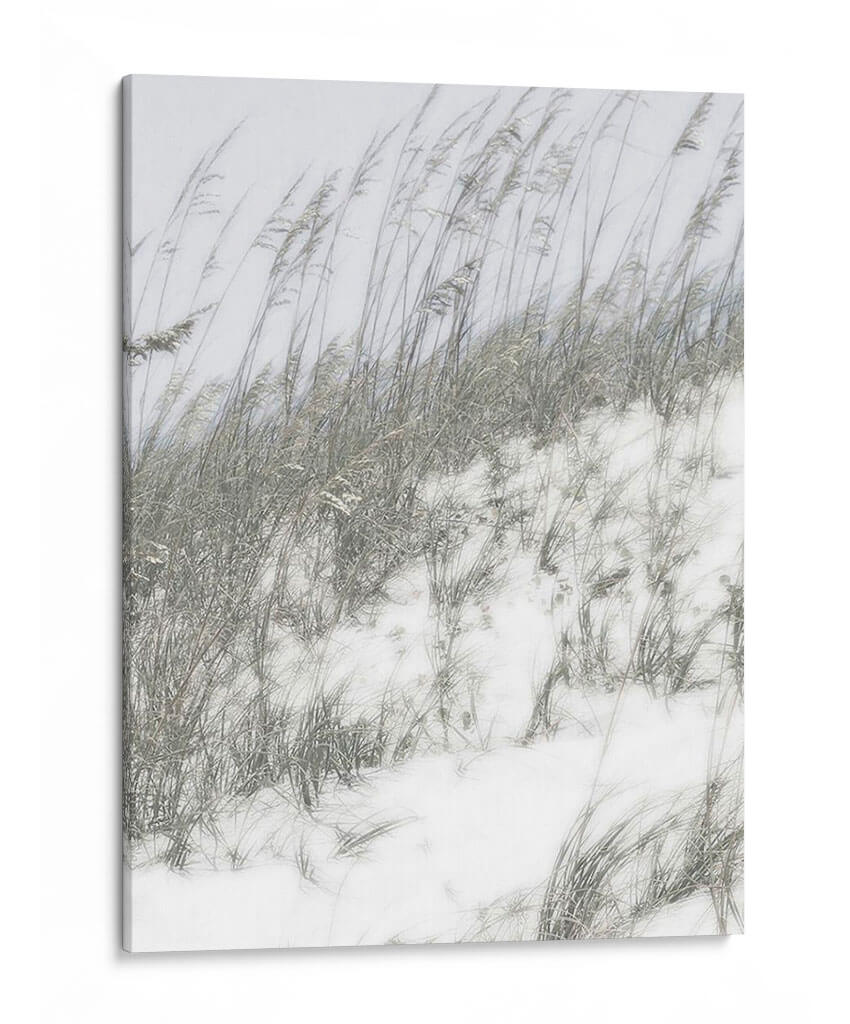 Dunas Exuberantes Iv - Sharon Chandler | Cuadro decorativo de Canvas Lab