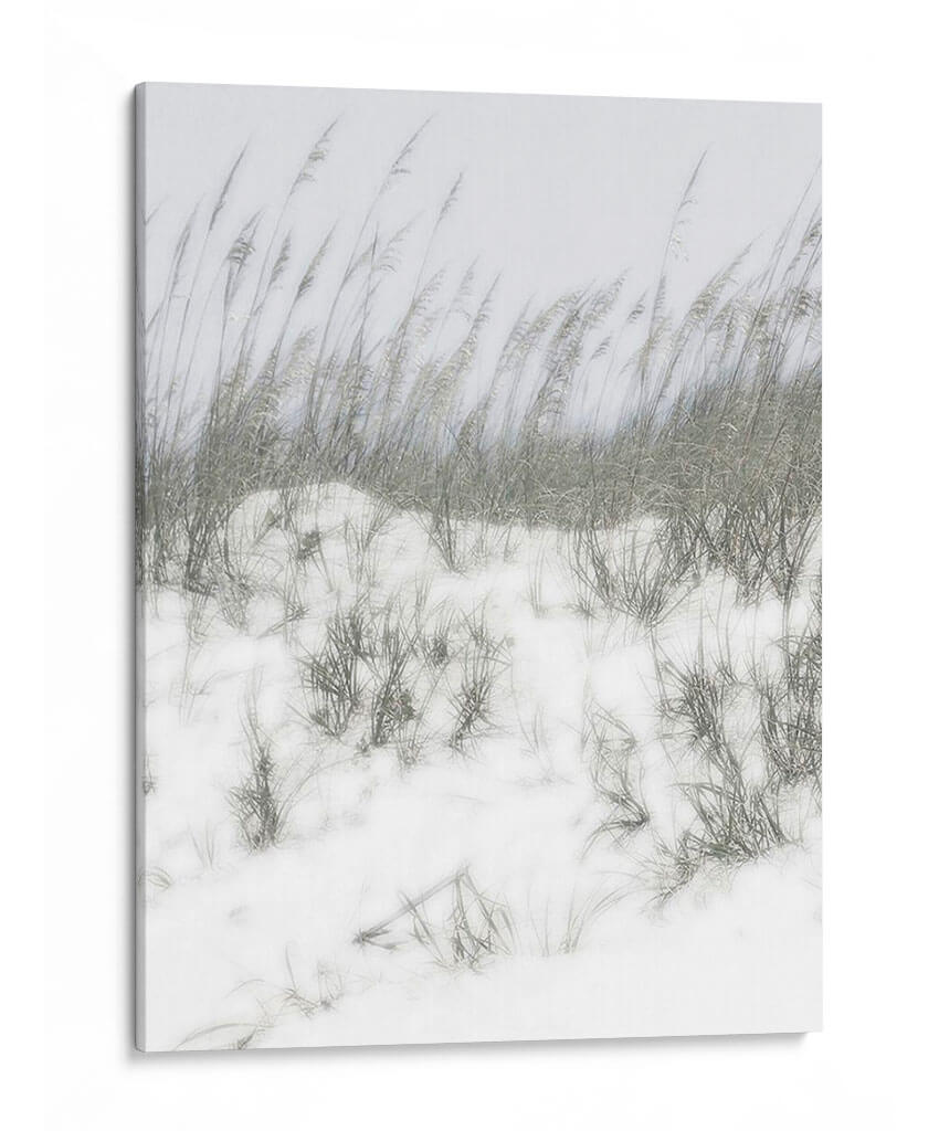Dumas Lush V - Sharon Chandler | Cuadro decorativo de Canvas Lab