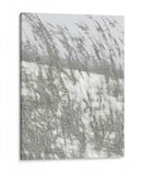 Exuberantes Dunas Vi - Sharon Chandler | Cuadro decorativo de Canvas Lab