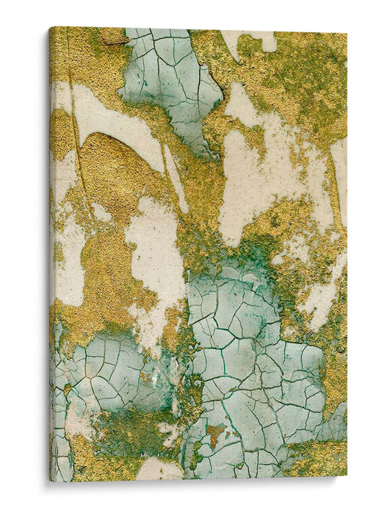 Biomes I - Vanna Lam | Cuadro decorativo de Canvas Lab