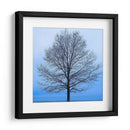 Árbol De Noviembre - James McLoughlin | Cuadro decorativo de Canvas Lab