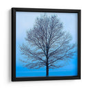 Árbol De Noviembre - James McLoughlin | Cuadro decorativo de Canvas Lab