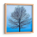 Árbol De Noviembre - James McLoughlin | Cuadro decorativo de Canvas Lab