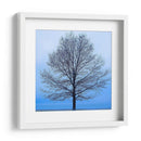 Árbol De Noviembre - James McLoughlin | Cuadro decorativo de Canvas Lab