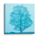 Árbol De Primavera - James McLoughlin | Cuadro decorativo de Canvas Lab