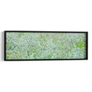 Panorama De Árbol I - James McLoughlin | Cuadro decorativo de Canvas Lab