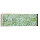 Panorama De Árbol I - James McLoughlin | Cuadro decorativo de Canvas Lab