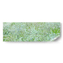 Panorama De Árbol I - James McLoughlin | Cuadro decorativo de Canvas Lab