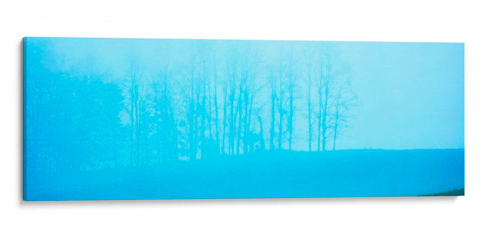 Panorama De Árbol Ii - James McLoughlin | Cuadro decorativo de Canvas Lab