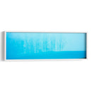 Panorama De Árbol Ii - James McLoughlin | Cuadro decorativo de Canvas Lab