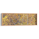 Panorama De Árbol Iii - James McLoughlin | Cuadro decorativo de Canvas Lab