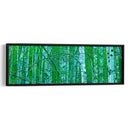 Panorama De Árbol V - James McLoughlin | Cuadro decorativo de Canvas Lab