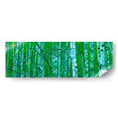 Panorama De Árbol V - James McLoughlin | Cuadro decorativo de Canvas Lab