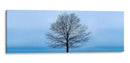 Panorama De Árbol Vi - James McLoughlin | Cuadro decorativo de Canvas Lab