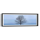 Panorama De Árbol Vi - James McLoughlin | Cuadro decorativo de Canvas Lab