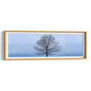 Panorama De Árbol Vi - James McLoughlin | Cuadro decorativo de Canvas Lab