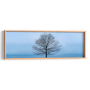 Panorama De Árbol Vi - James McLoughlin | Cuadro decorativo de Canvas Lab