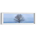 Panorama De Árbol Vi - James McLoughlin | Cuadro decorativo de Canvas Lab