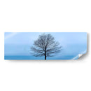 Panorama De Árbol Vi - James McLoughlin | Cuadro decorativo de Canvas Lab