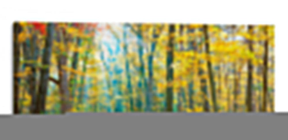 Panorama De Árbol Viii - James McLoughlin | Cuadro decorativo de Canvas Lab