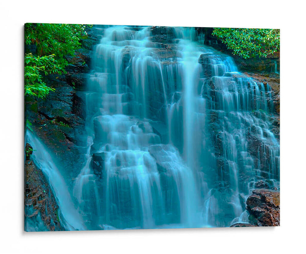 Cascada Retrato Iii - James McLoughlin | Cuadro decorativo de Canvas Lab