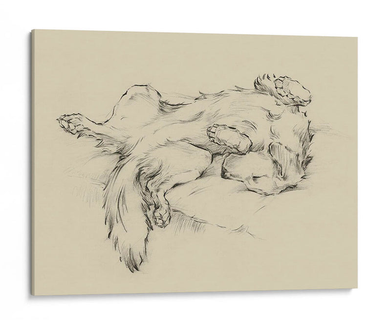 Perro Cansado Ii - Ethan Harper | Cuadro decorativo de Canvas Lab