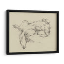 Perro Cansado Ii - Ethan Harper | Cuadro decorativo de Canvas Lab