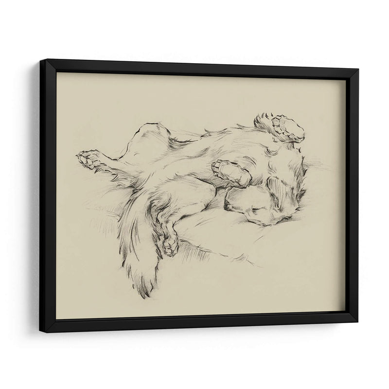 Perro Cansado Ii - Ethan Harper | Cuadro decorativo de Canvas Lab