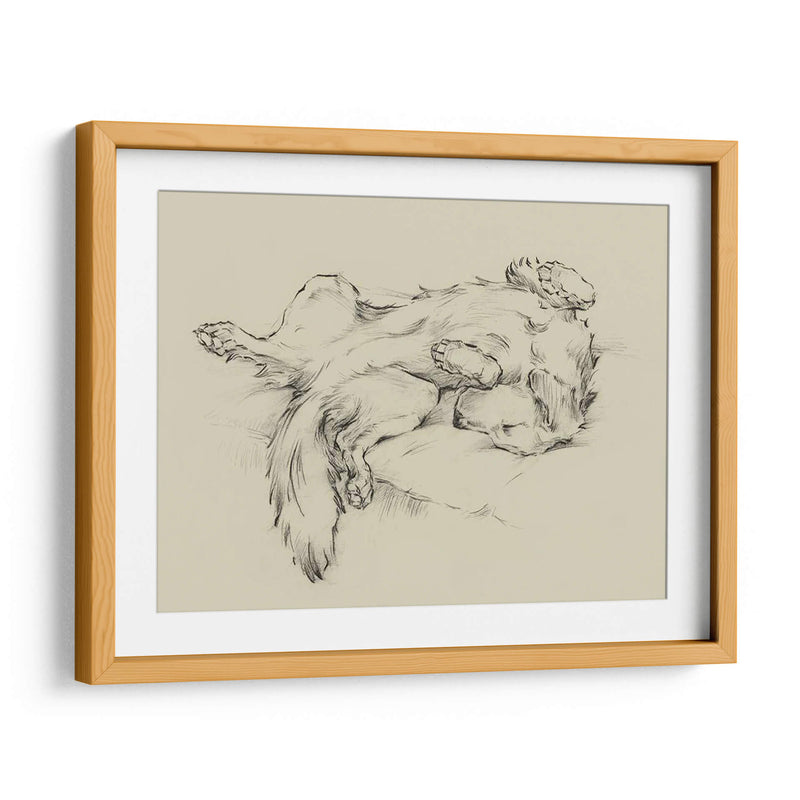 Perro Cansado Ii - Ethan Harper | Cuadro decorativo de Canvas Lab