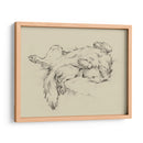 Perro Cansado Ii - Ethan Harper | Cuadro decorativo de Canvas Lab