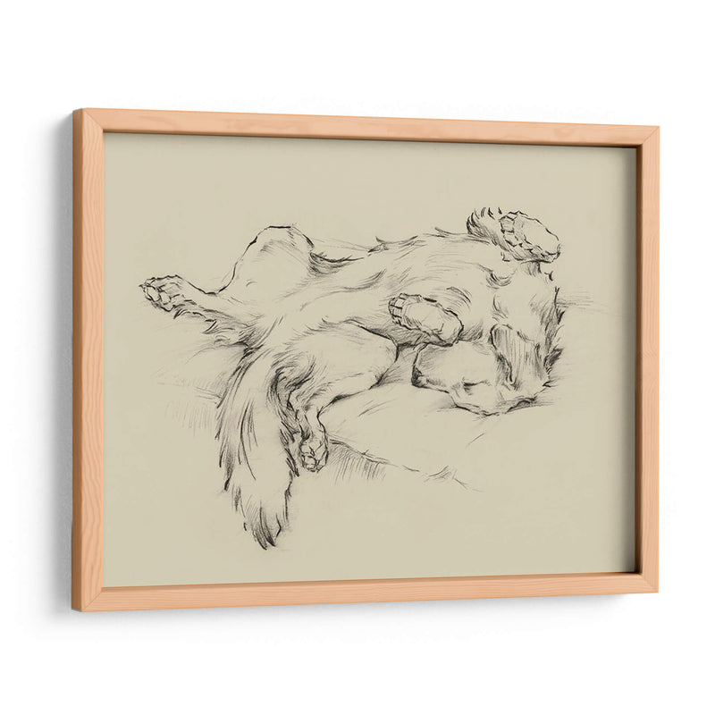 Perro Cansado Ii - Ethan Harper | Cuadro decorativo de Canvas Lab