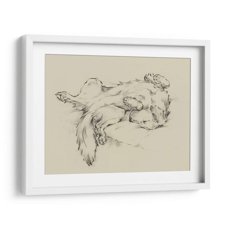 Perro Cansado Ii - Ethan Harper | Cuadro decorativo de Canvas Lab