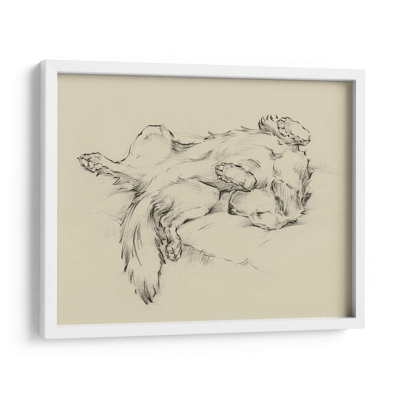 Perro Cansado Ii - Ethan Harper | Cuadro decorativo de Canvas Lab