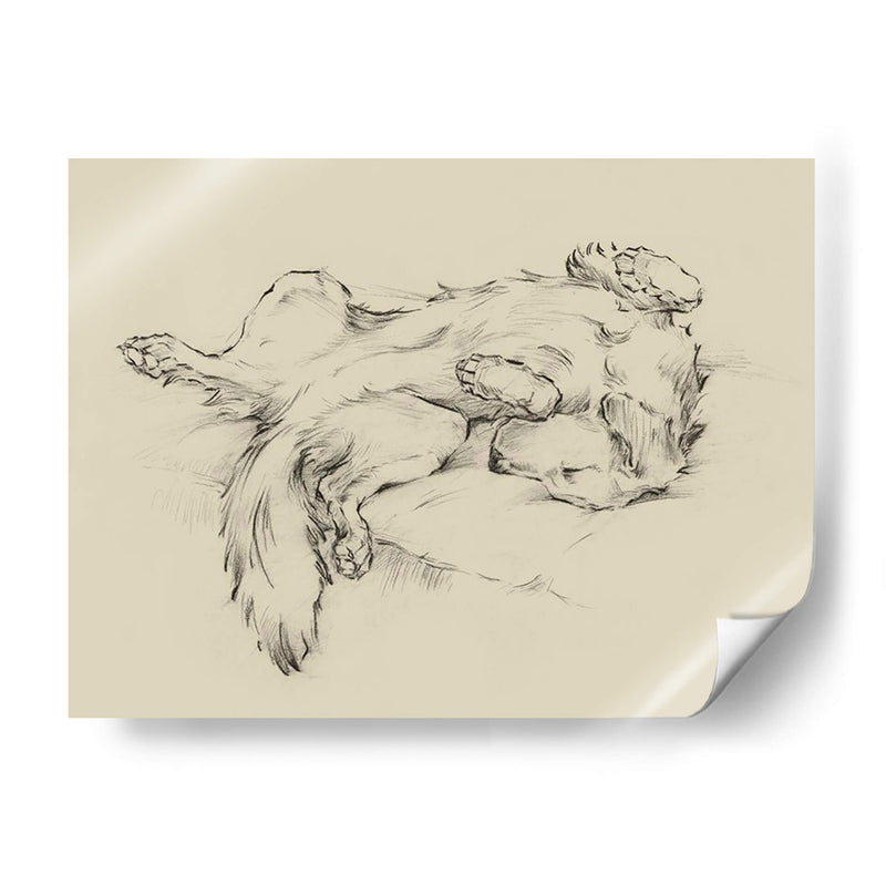 Perro Cansado Ii - Ethan Harper | Cuadro decorativo de Canvas Lab