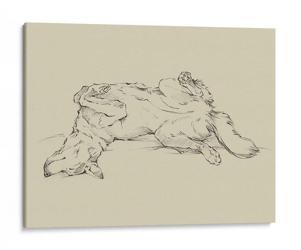 Perro Cansado Iv - Ethan Harper | Cuadro decorativo de Canvas Lab