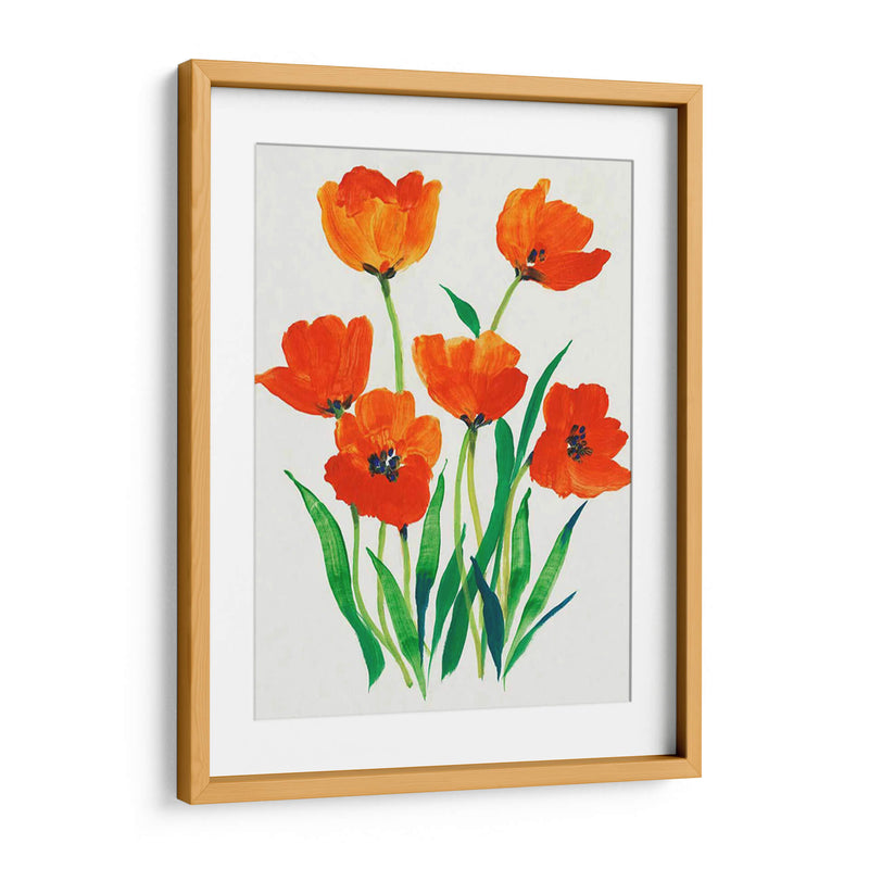 Tulipanes Rojos En Flor I - Tim OToole | Cuadro decorativo de Canvas Lab