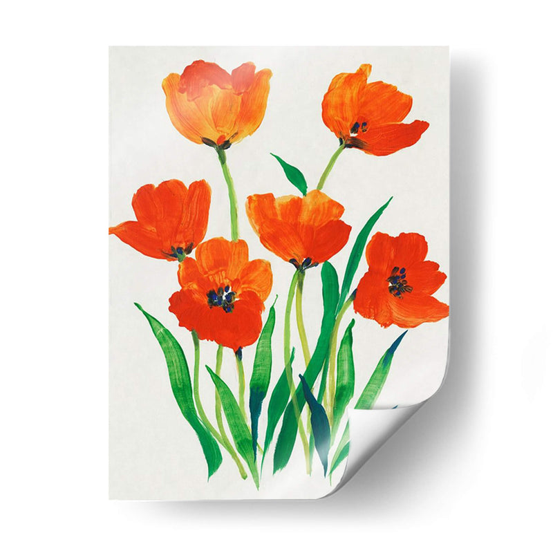 Tulipanes Rojos En Flor I - Tim OToole | Cuadro decorativo de Canvas Lab