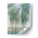 Árbol Grove Ii - Tim OToole | Cuadro decorativo de Canvas Lab