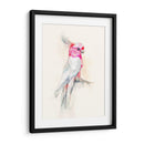 Opera Cockatoo I - Jennifer Goldberger | Cuadro decorativo de Canvas Lab