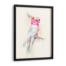 Opera Cockatoo I - Jennifer Goldberger | Cuadro decorativo de Canvas Lab