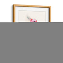 Opera Cockatoo I - Jennifer Goldberger | Cuadro decorativo de Canvas Lab