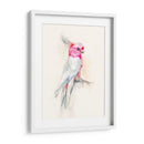 Opera Cockatoo I - Jennifer Goldberger | Cuadro decorativo de Canvas Lab