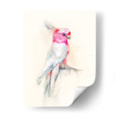 Opera Cockatoo I - Jennifer Goldberger | Cuadro decorativo de Canvas Lab