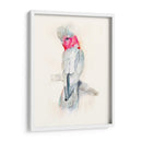 Opera Cockatoo Ii - Jennifer Goldberger | Cuadro decorativo de Canvas Lab