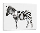 Stare Cebra Ii - Jennifer Goldberger | Cuadro decorativo de Canvas Lab