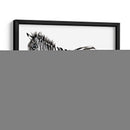 Stare Cebra Ii - Jennifer Goldberger | Cuadro decorativo de Canvas Lab