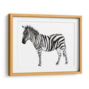 Stare Cebra Ii - Jennifer Goldberger | Cuadro decorativo de Canvas Lab